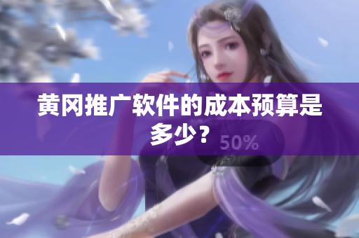 黄冈推广软件的成本预算是多少？