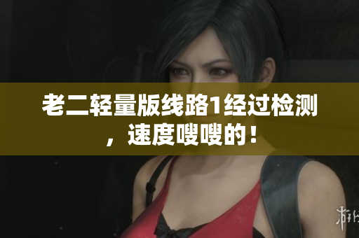 老二轻量版线路1经过检测，速度嗖嗖的！