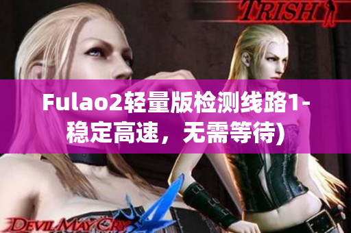 Fulao2轻量版检测线路1-稳定高速，无需等待)
