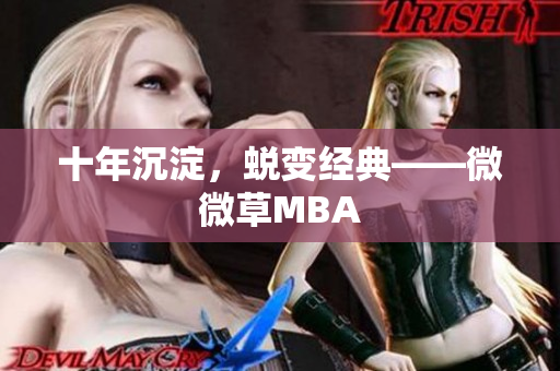 十年沉淀，蜕变经典——微微草MBA