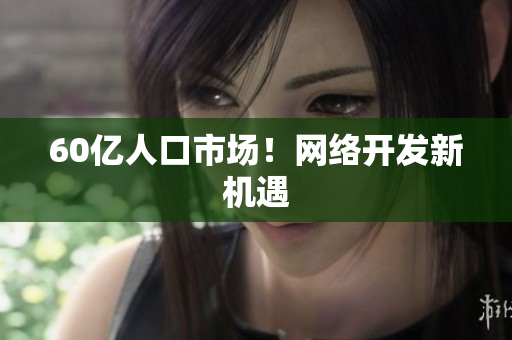 60亿人口市场！网络开发新机遇