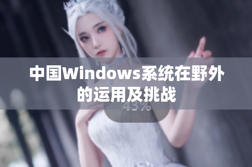 中国Windows系统在野外的运用及挑战