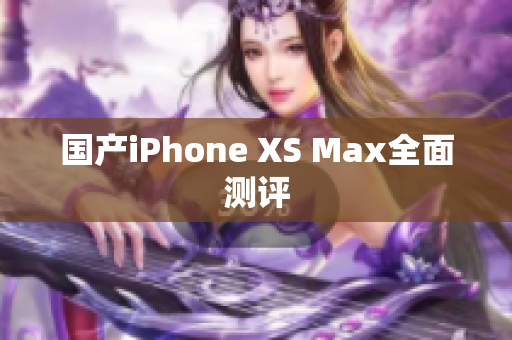 国产iPhone XS Max全面测评