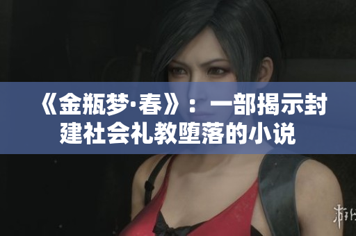 《金瓶梦·春》：一部揭示封建社会礼教堕落的小说
