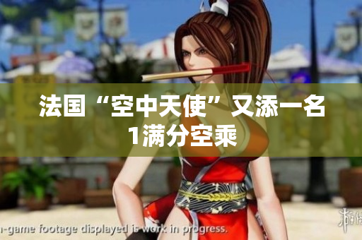 法国“空中天使”又添一名1满分空乘
