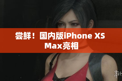 尝鲜！国内版iPhone XS Max亮相