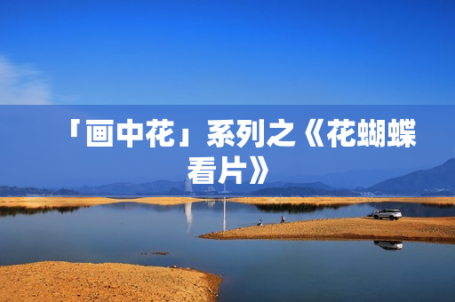 「画中花」系列之《花蝴蝶看片》