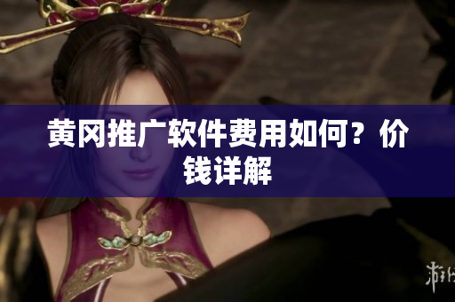 黄冈推广软件费用如何？价钱详解