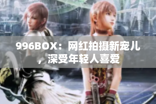 996BOX：网红拍摄新宠儿，深受年轻人喜爱