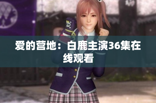 爱的营地：白鹿主演36集在线观看