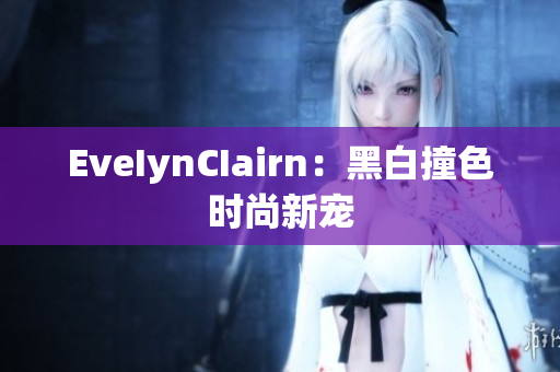 EveIynCIairn：黑白撞色时尚新宠