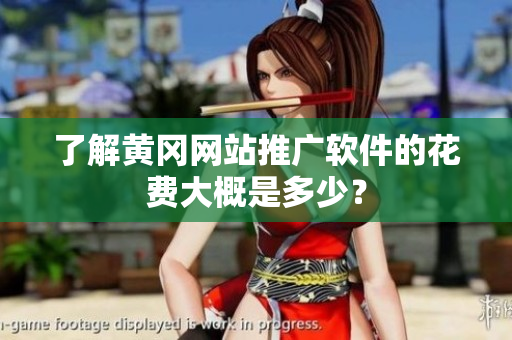 了解黄冈网站推广软件的花费大概是多少？