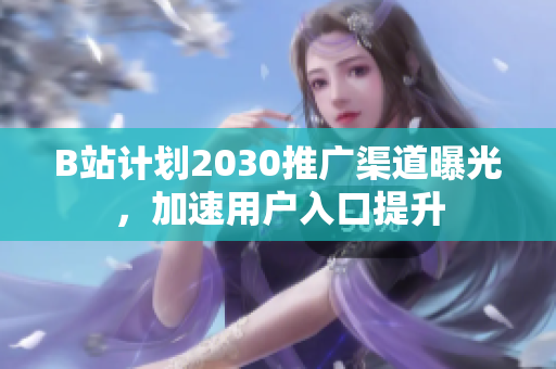 B站计划2030推广渠道曝光，加速用户入口提升