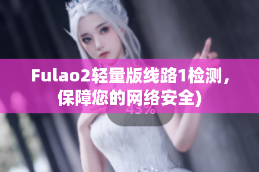 Fulao2轻量版线路1检测，保障您的网络安全)