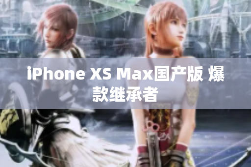 iPhone XS Max国产版 爆款继承者