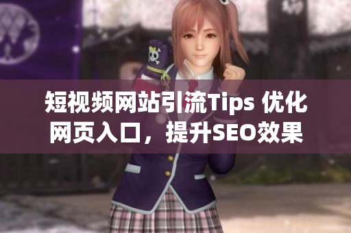 短视频网站引流Tips 优化网页入口，提升SEO效果