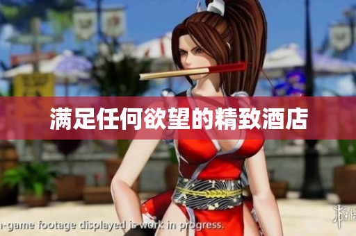 满足任何欲望的精致酒店