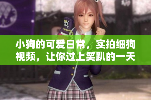 小狗的可爱日常，实拍细狗视频，让你过上笑趴的一天