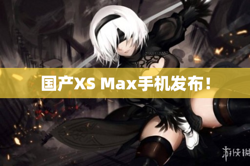 国产XS Max手机发布！