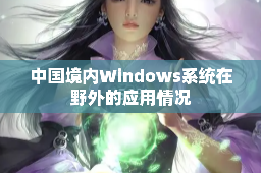 中国境内Windows系统在野外的应用情况