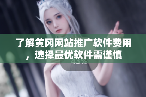 了解黄冈网站推广软件费用，选择最优软件需谨慎