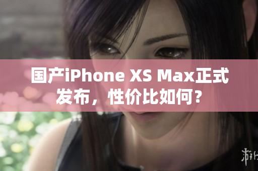 国产iPhone XS Max正式发布，性价比如何？