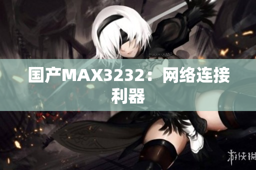 国产MAX3232：网络连接利器