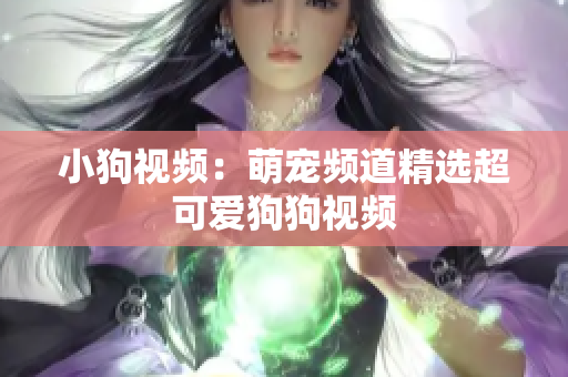 小狗视频：萌宠频道精选超可爱狗狗视频