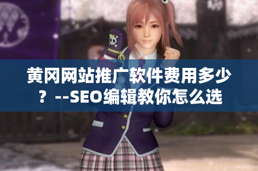 黄冈网站推广软件费用多少？--SEO编辑教你怎么选