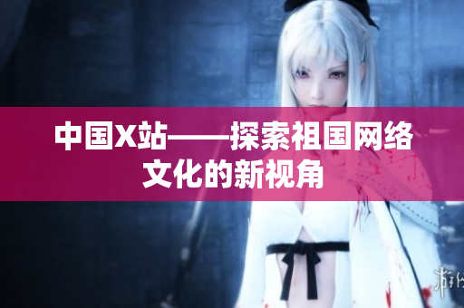 中国X站——探索祖国网络文化的新视角