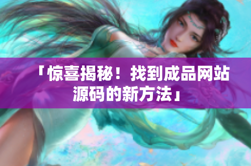 「惊喜揭秘！找到成品网站源码的新方法」