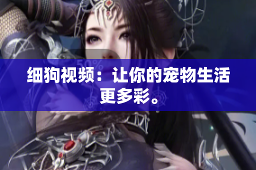 细狗视频：让你的宠物生活更多彩。