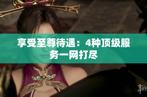 享受至尊待遇：4种顶级服务一网打尽