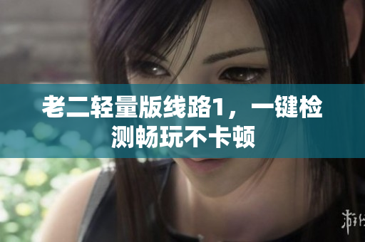 老二轻量版线路1，一键检测畅玩不卡顿